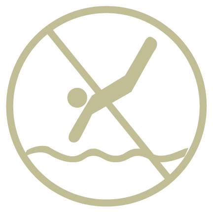 No Diving icon